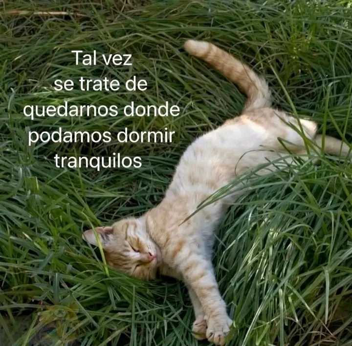 GIF subido por Venus7