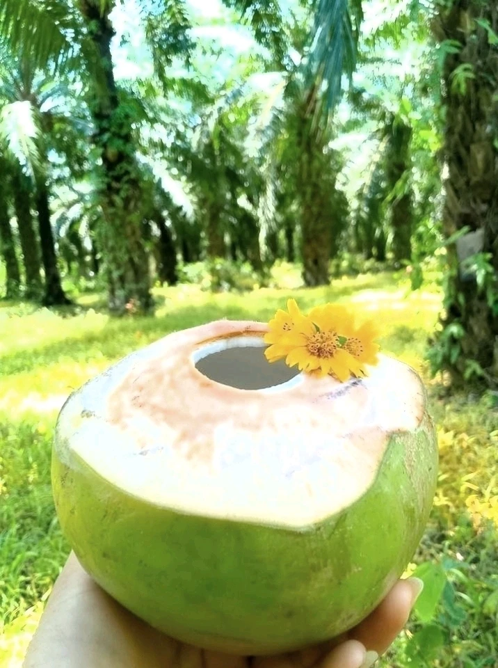 Image uploaded by Rak