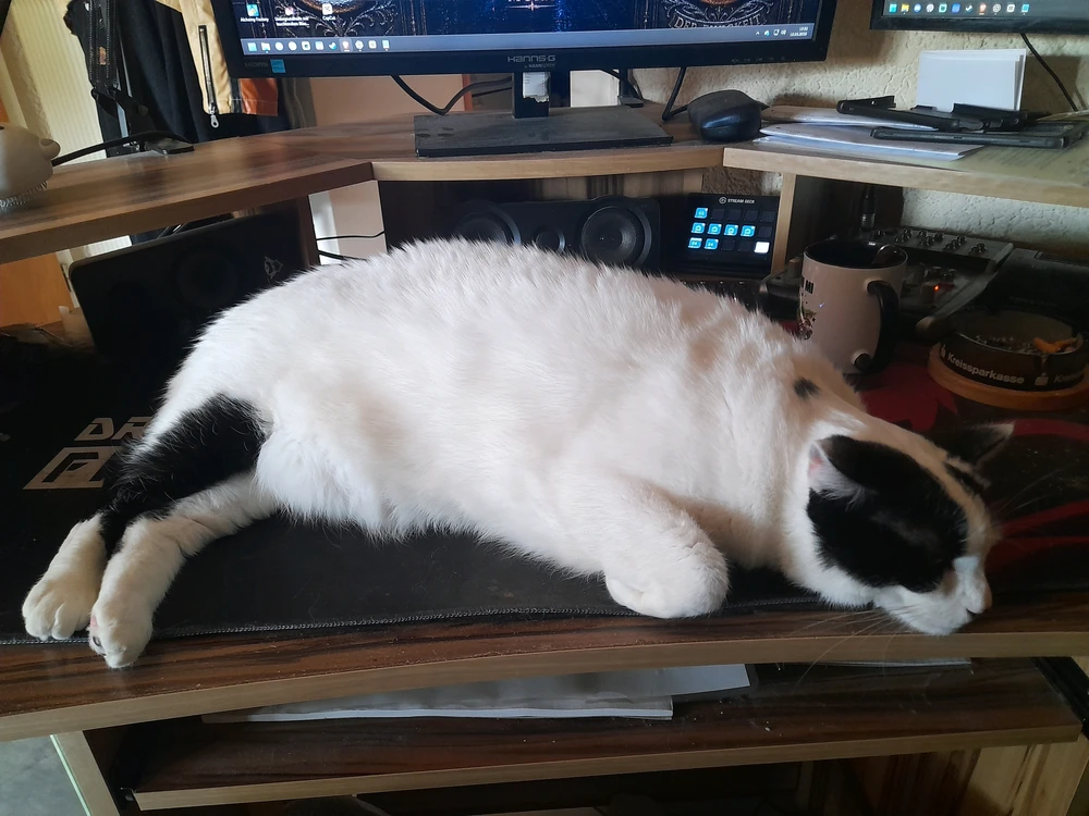 GIF hochgeladen von Chris