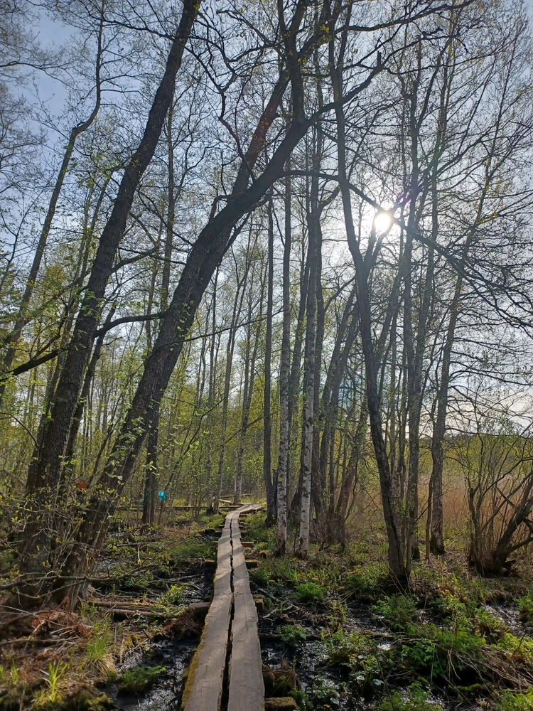 Image uploaded by Milja