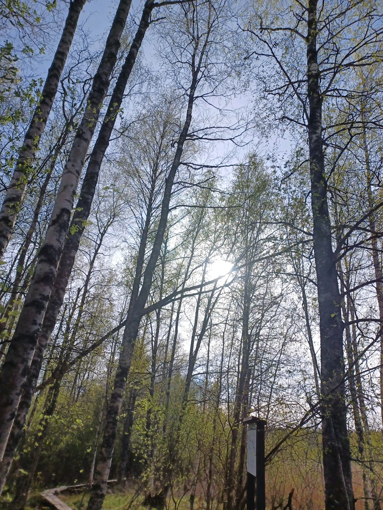 Image uploaded by Milja