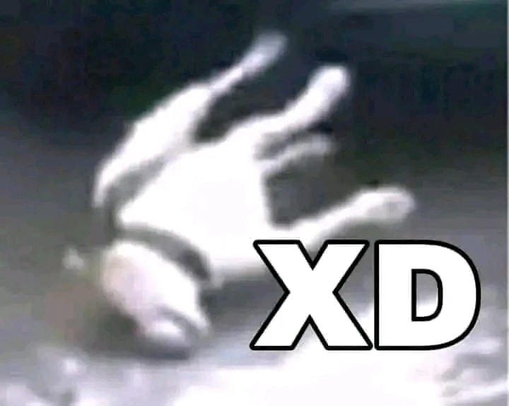 Image uploaded by Axel
