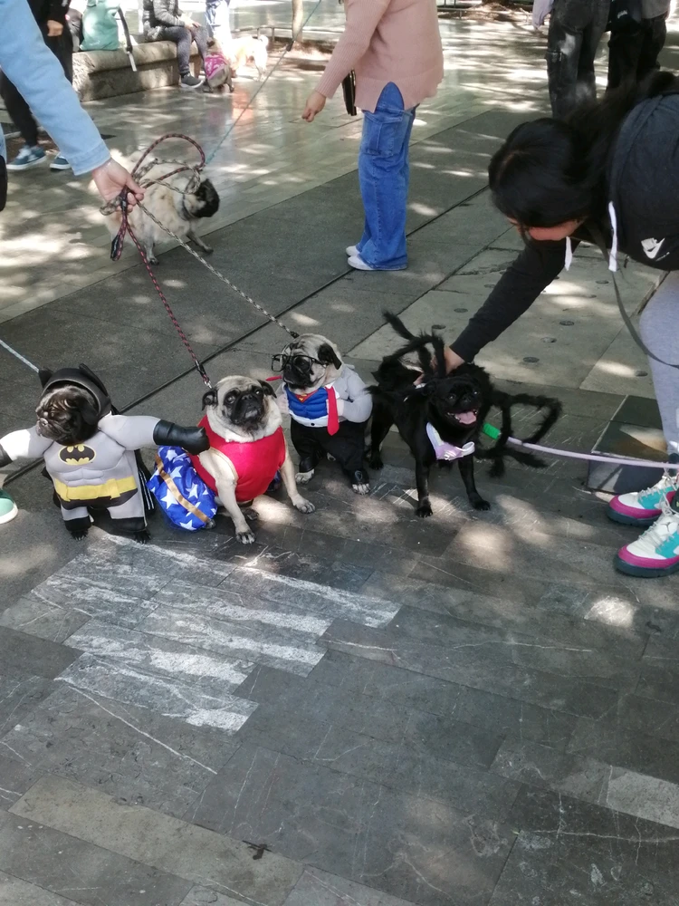 Image uploaded by Axel