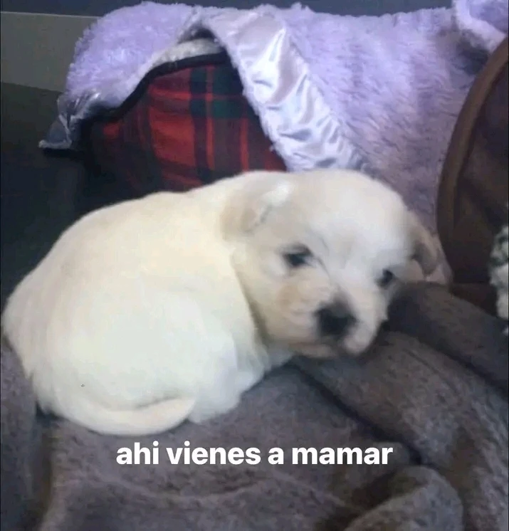 Image uploaded by Axel