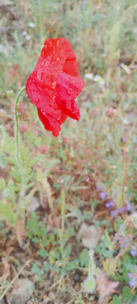 GIF uploaded by Kas