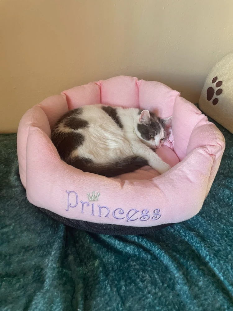 GIF uploaded by Marlena