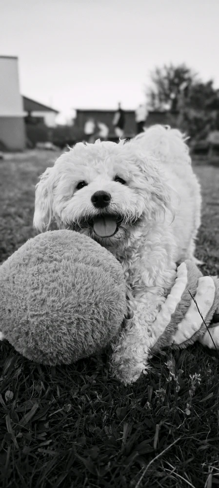 Image uploaded by Boriss
