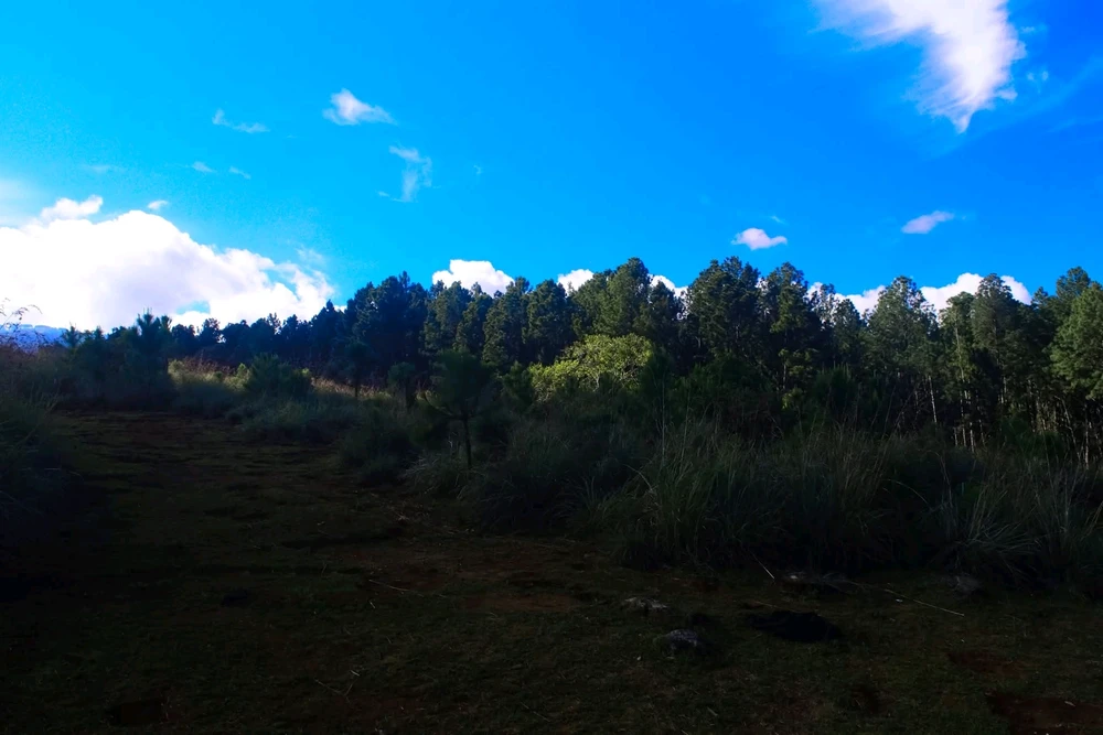 GIF uploaded by S