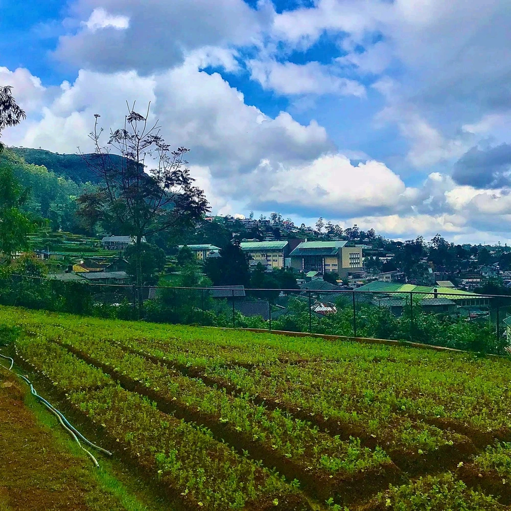 GIF uploaded by S