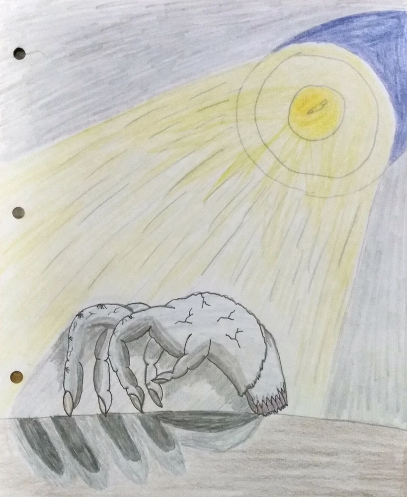 GIF uploaded by Florian
