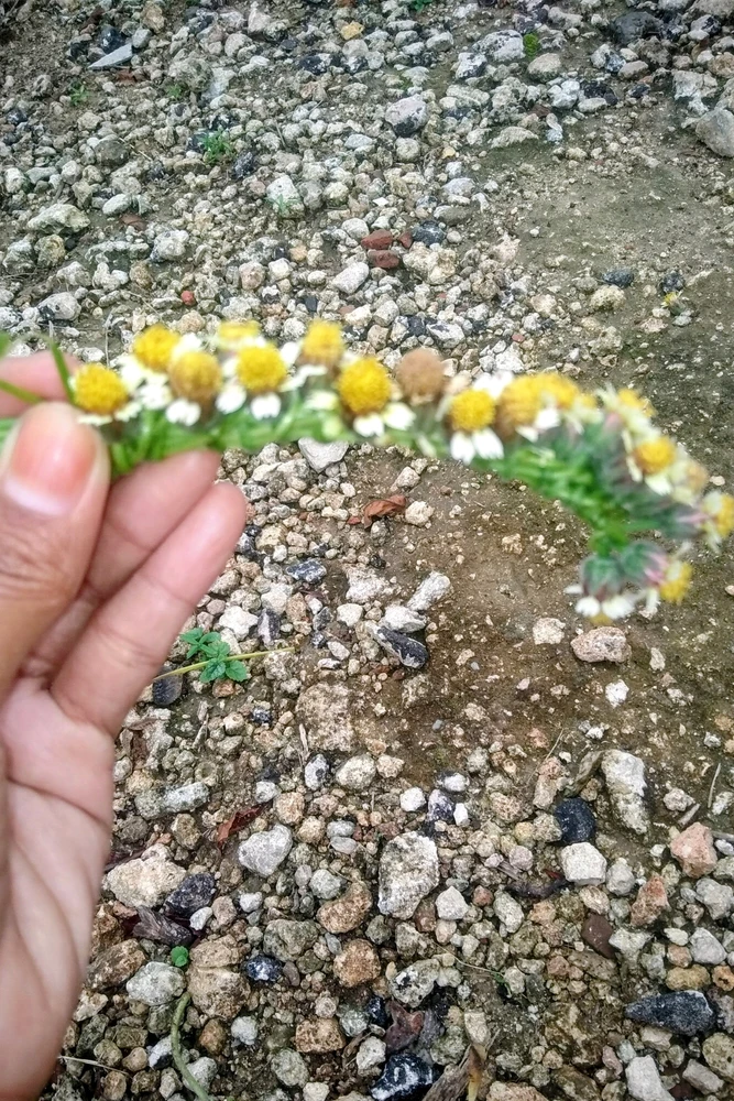 GIF diunggah oleh Erina