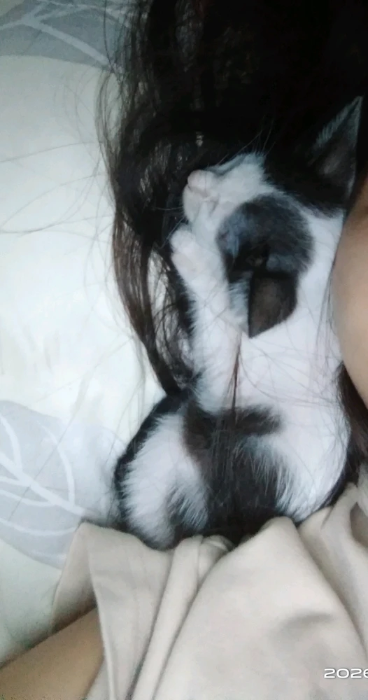 GIF uploaded by Keulodine Neun