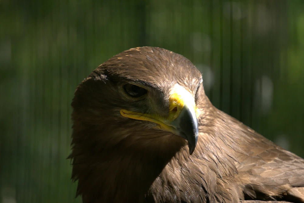 Image uploaded by Wilk