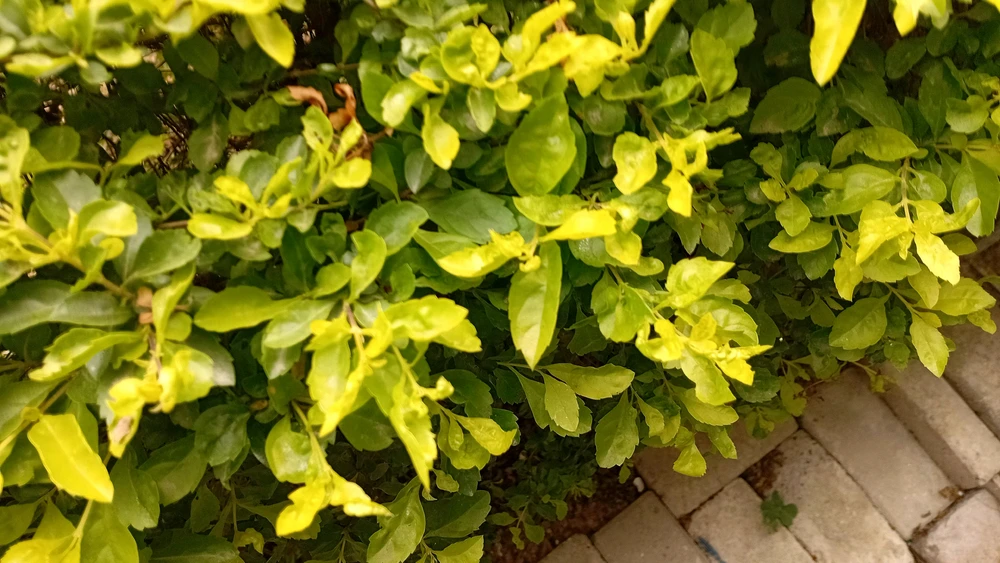 GIF uploaded by Mamoon