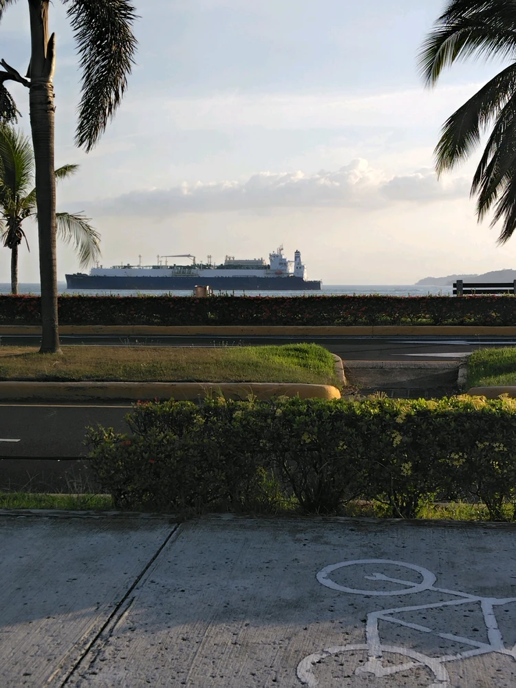 GIF uploaded by Arnaldo