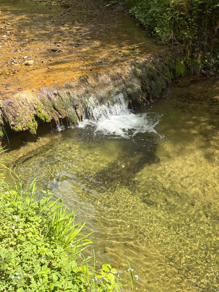 GIF uploaded by ℳ𝒾𝒹𝓃𝒾𝑔𝒽𝓉