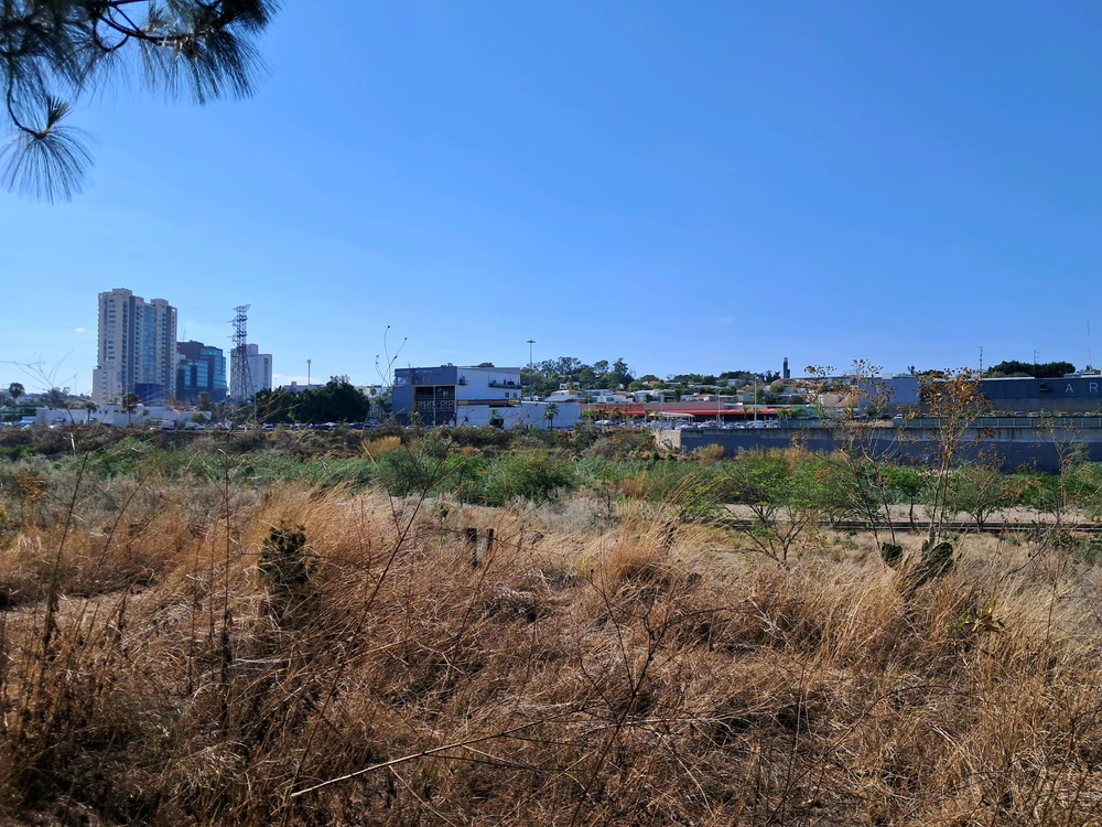 GIF uploaded by Pablo
