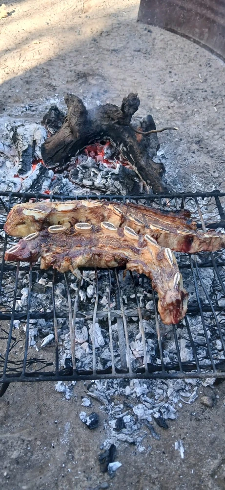 GIF subido por YesyEdu