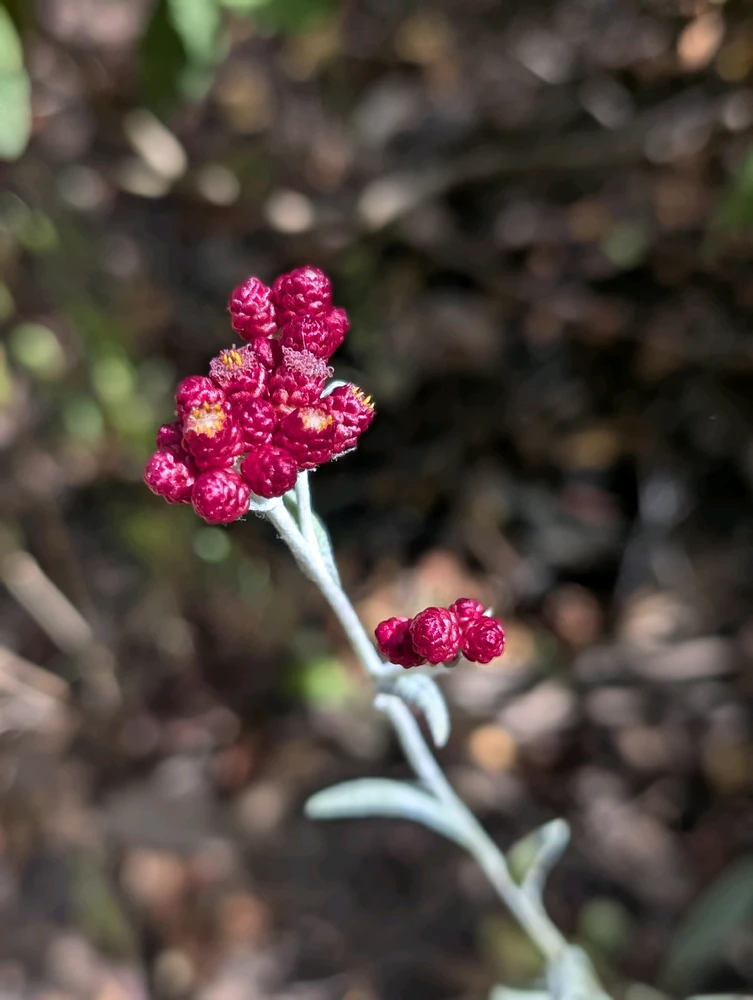 GIF uploaded by Aviv