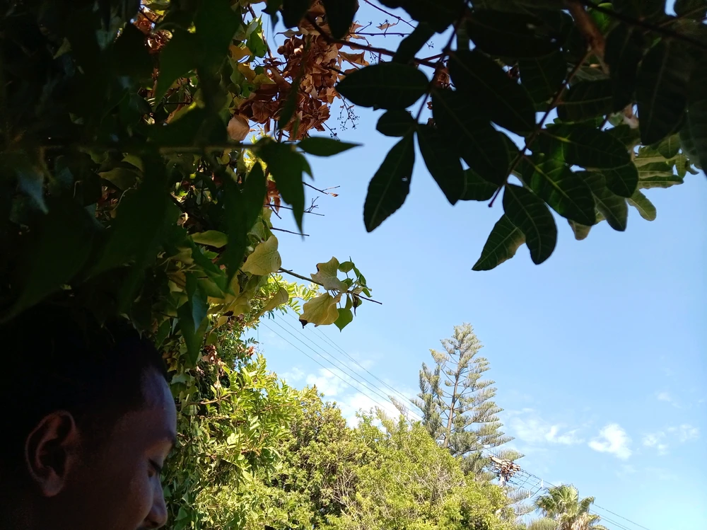 GIF uploaded by Imtiyaaz