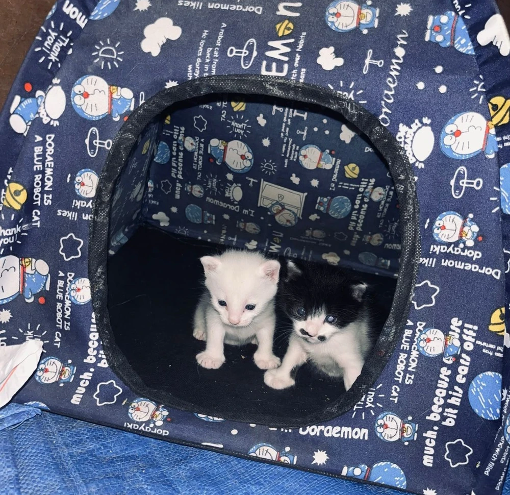 GIF uploaded by Vanny