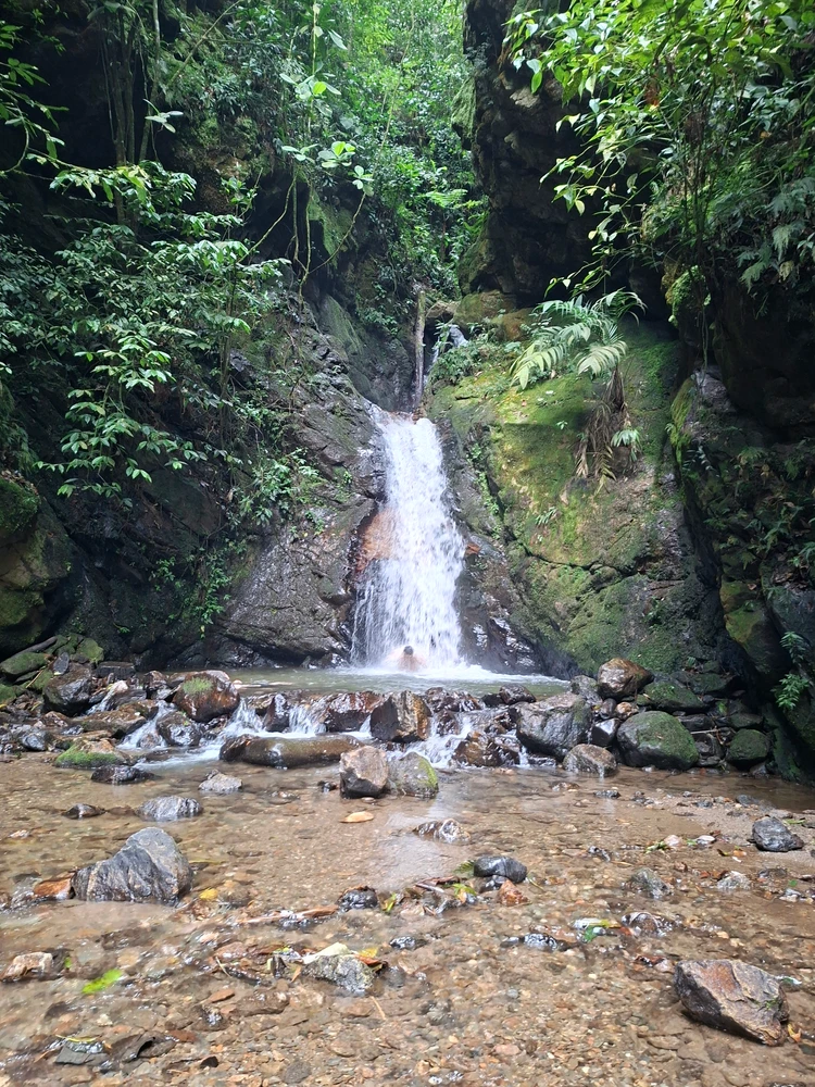 GIF uploaded by Luis