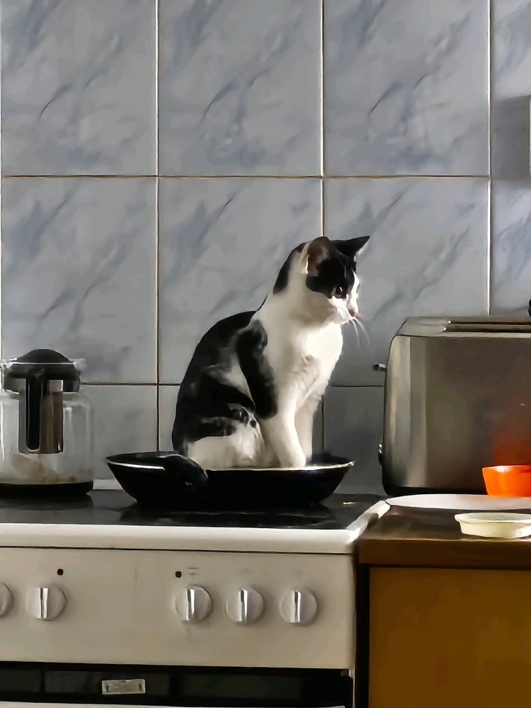 GIF uploaded by Kuba