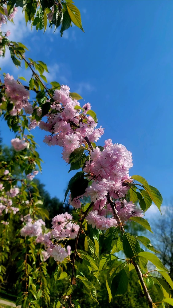 Image uploaded by Илья