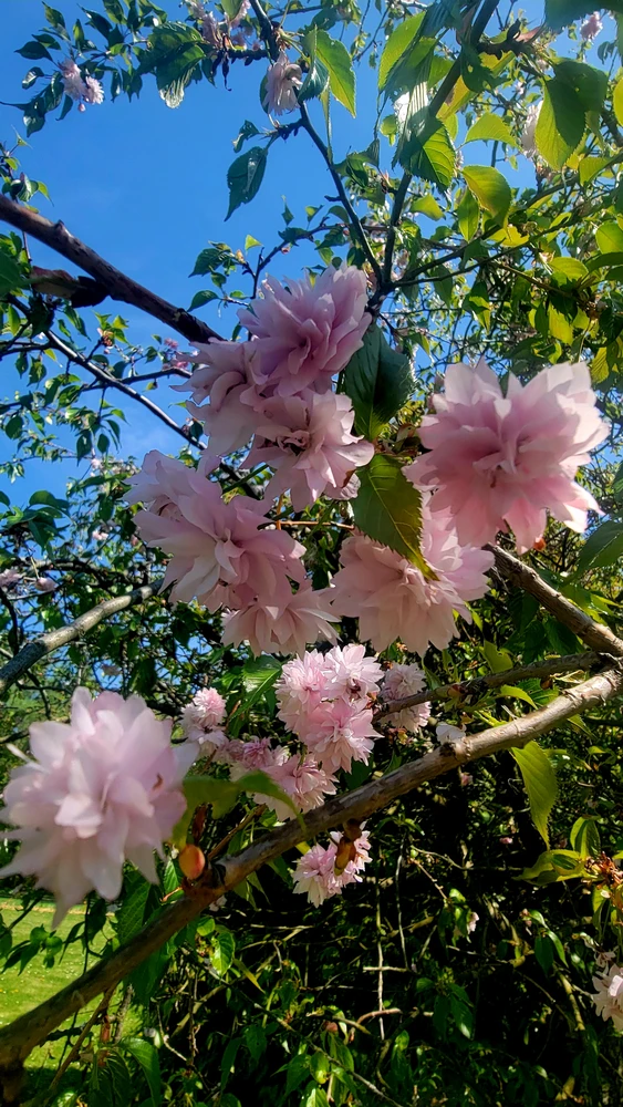 Image uploaded by Илья