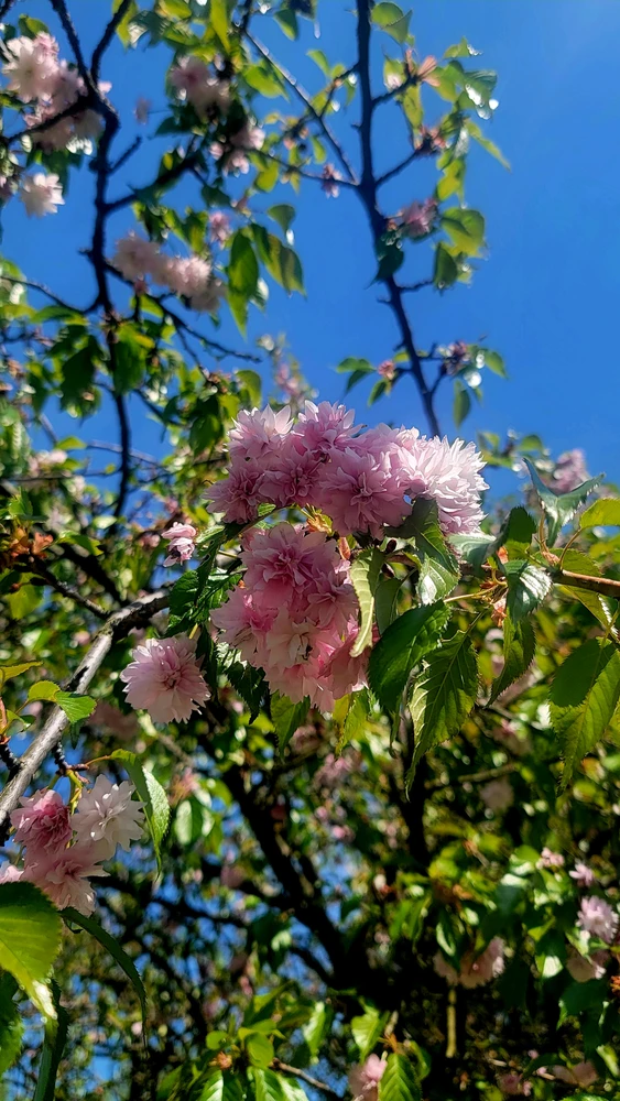 Image uploaded by Илья