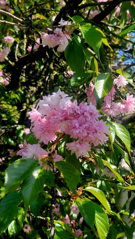 Image uploaded by Илья