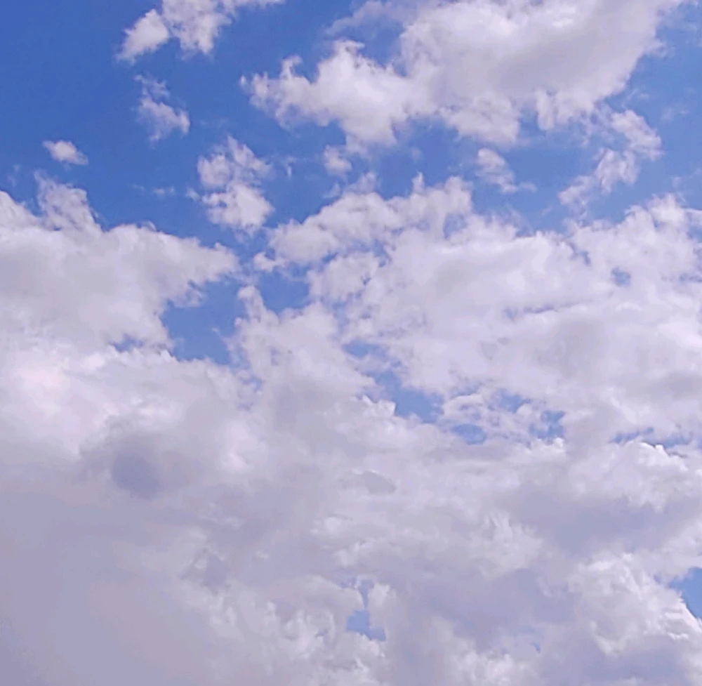 GIF uploaded by Sunni