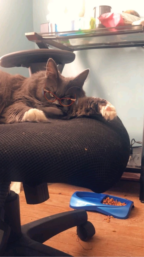 Image uploaded by Stebee