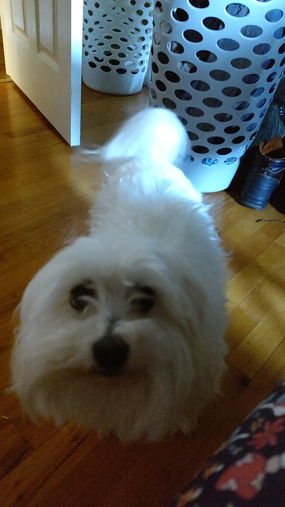Image uploaded by Stebee