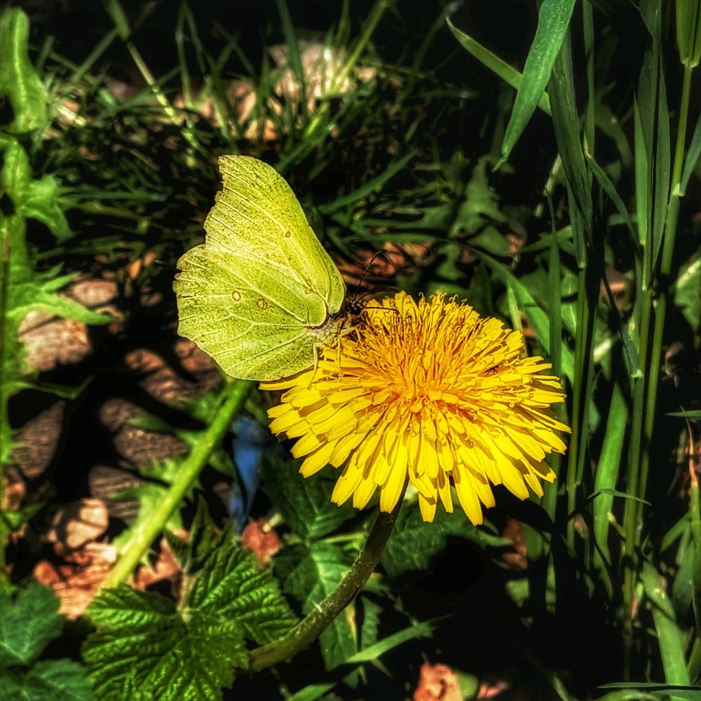 GIF hochgeladen von Ray