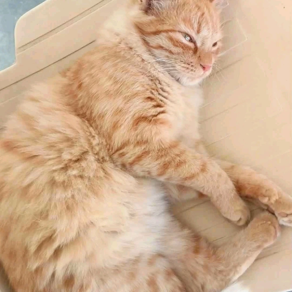 GIF uploaded by Arsh