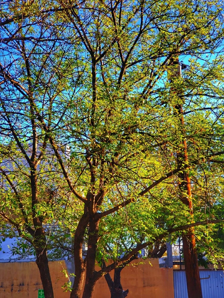 GIF uploaded by Al