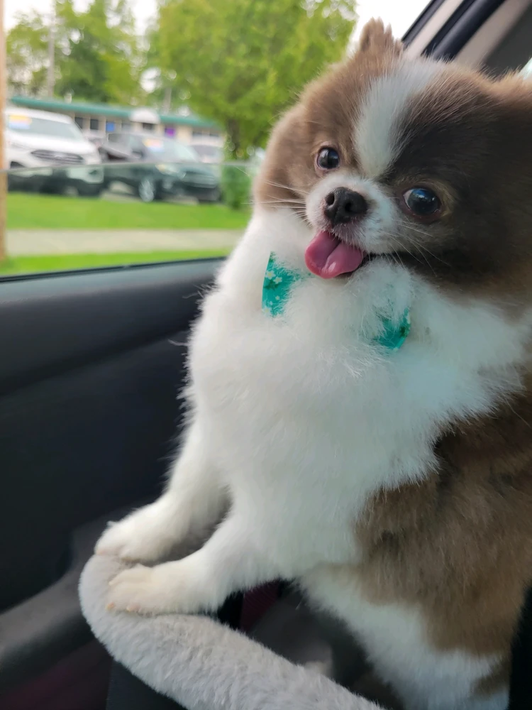 GIF uploaded by Christy
