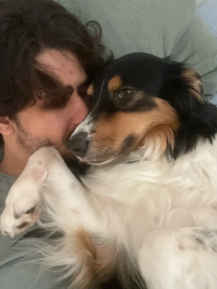 GIF uploaded by Augusto