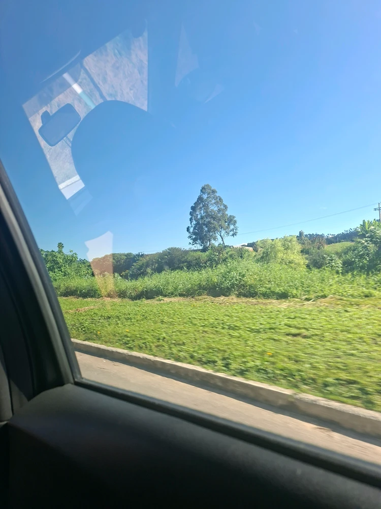 GIF uploaded by Yasmim