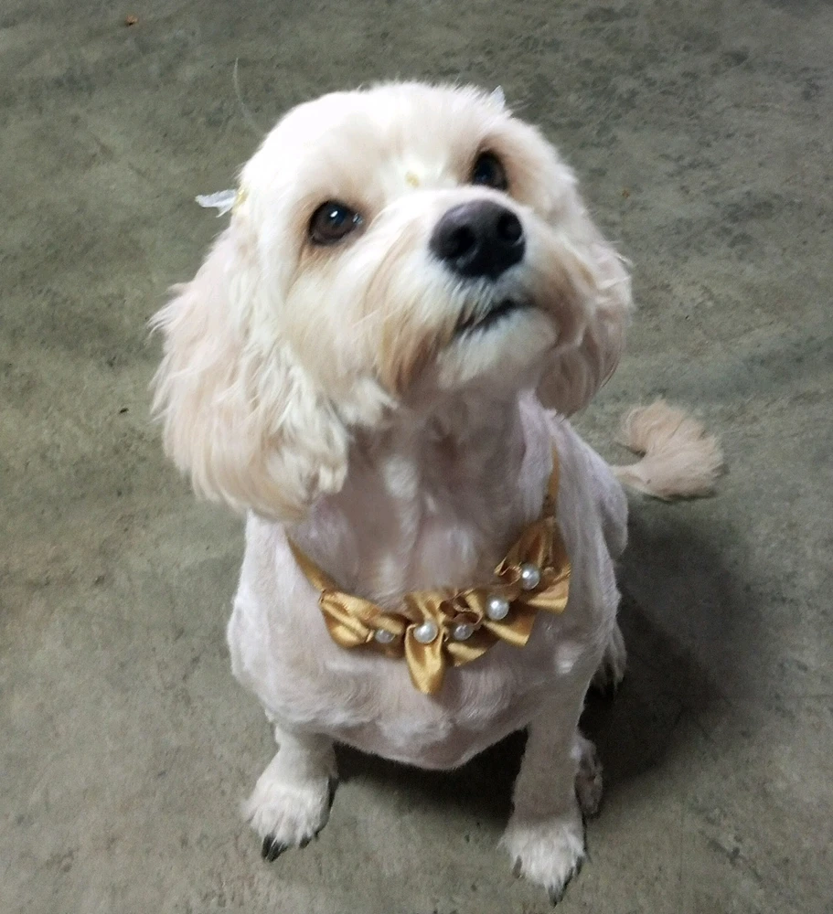 GIF uploaded by Bianka