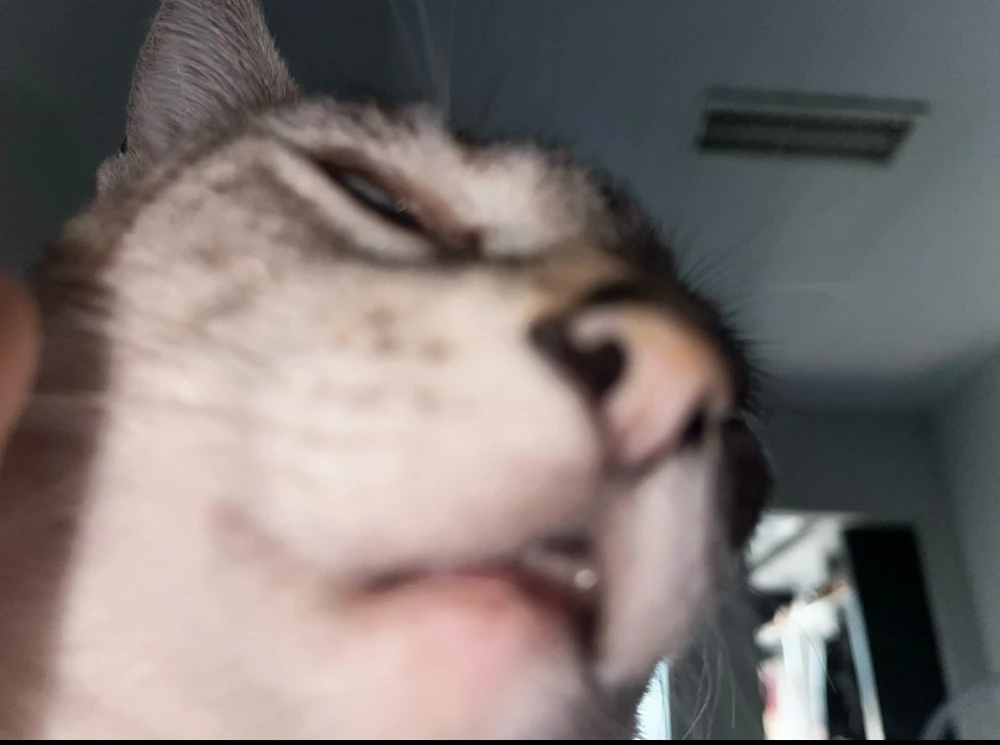 Imagem enviada por Laíse