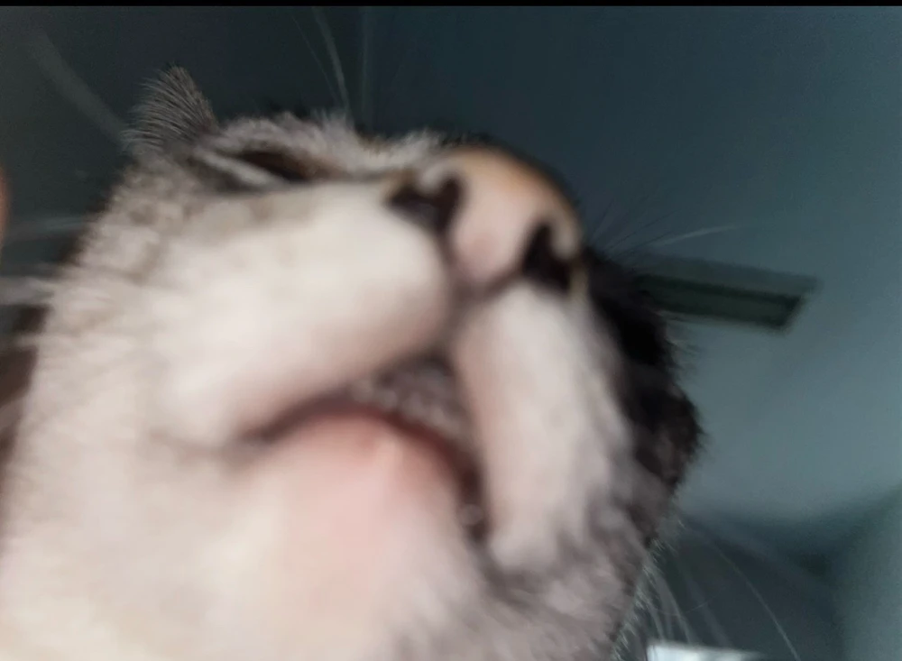 Imagem enviada por Laíse