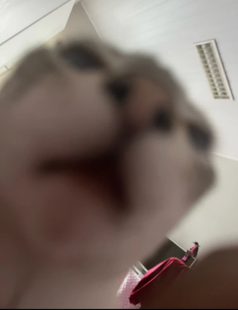 Imagem enviada por Laíse