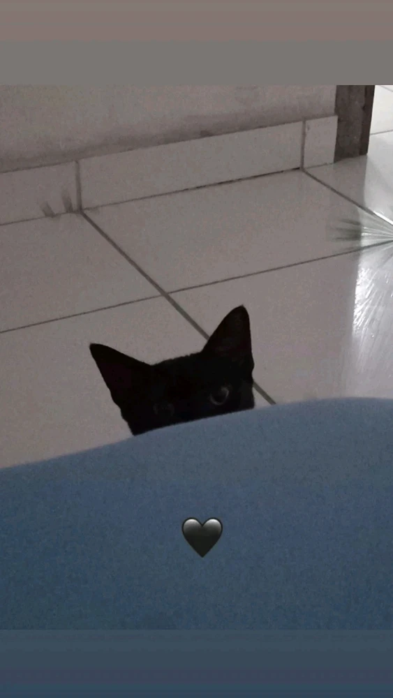 GIF enviado por Raquel