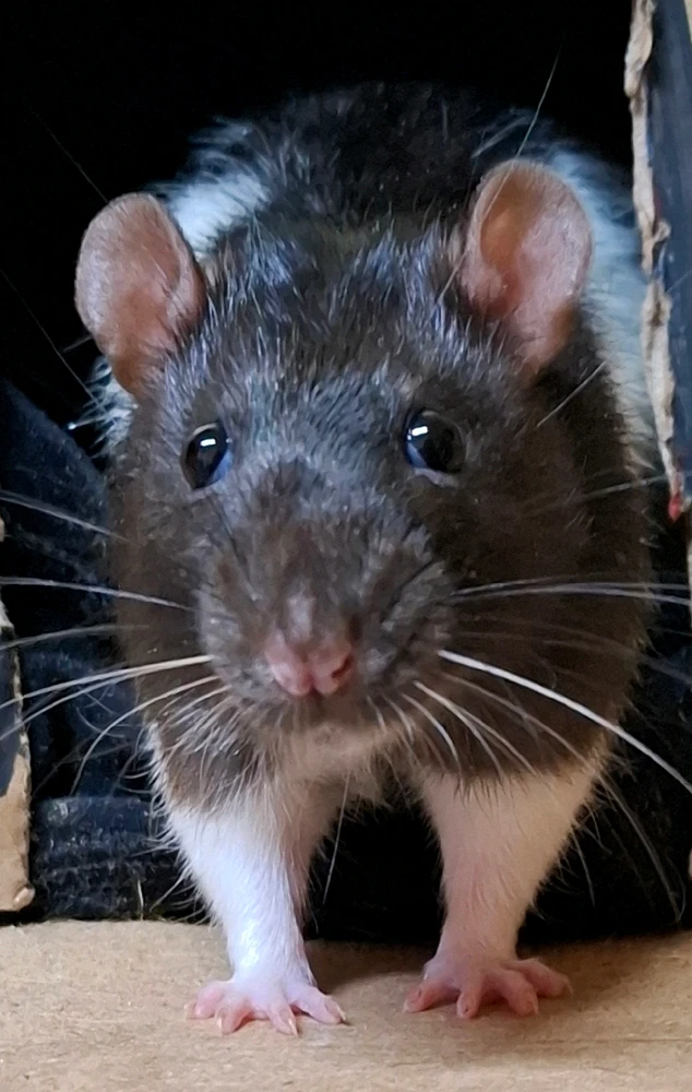 GIF uploaded by Lucero