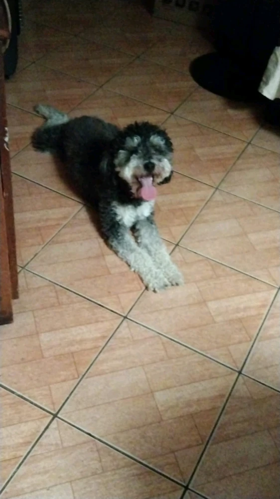 GIF uploaded by Bayron