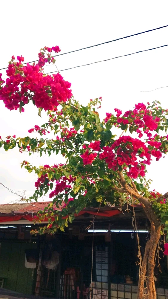 GIF uploaded by Savi
