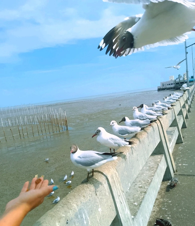 Image uploaded by Love