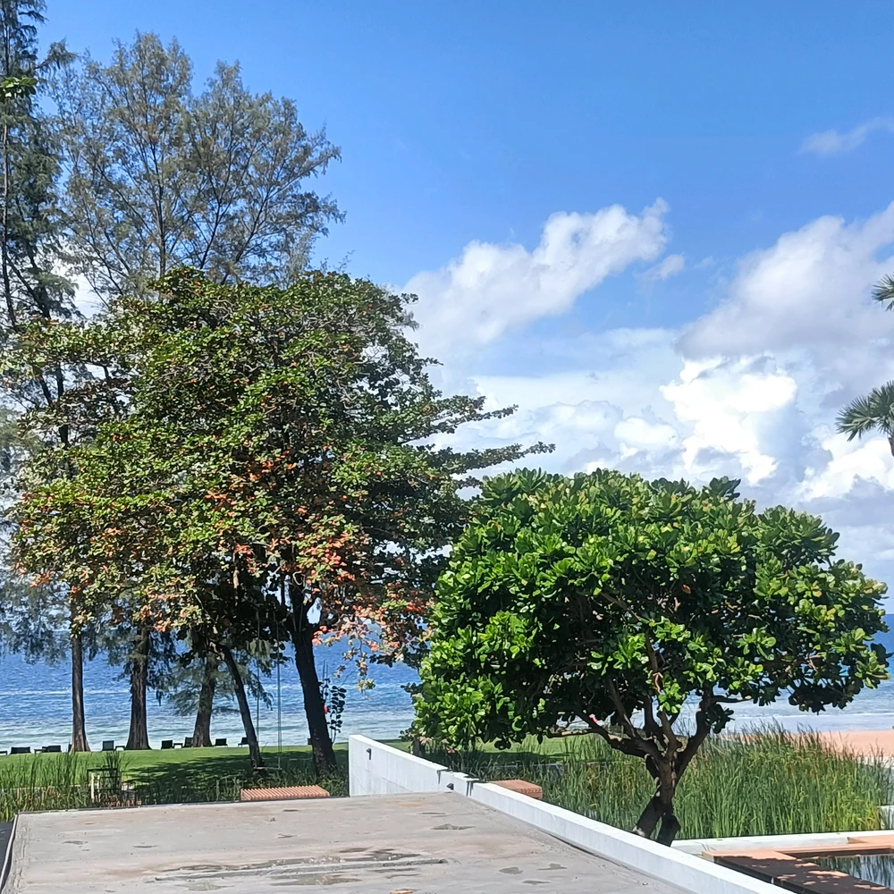 Image uploaded by Hasana